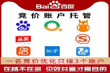 百度SEO推广公司案例分析：成功案例解析